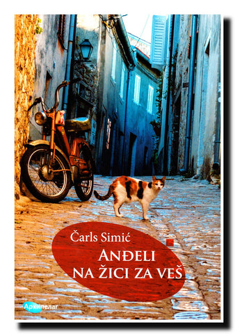 Anđeli na žici za veš : izabrani eseji