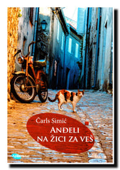 Anđeli na žici za veš : izabrani eseji