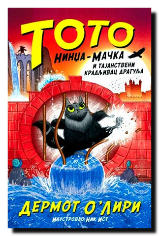 Toto nindža-mačka i tajanstveni kradljivac dragulja