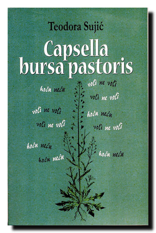 Capsella bursa pastoris